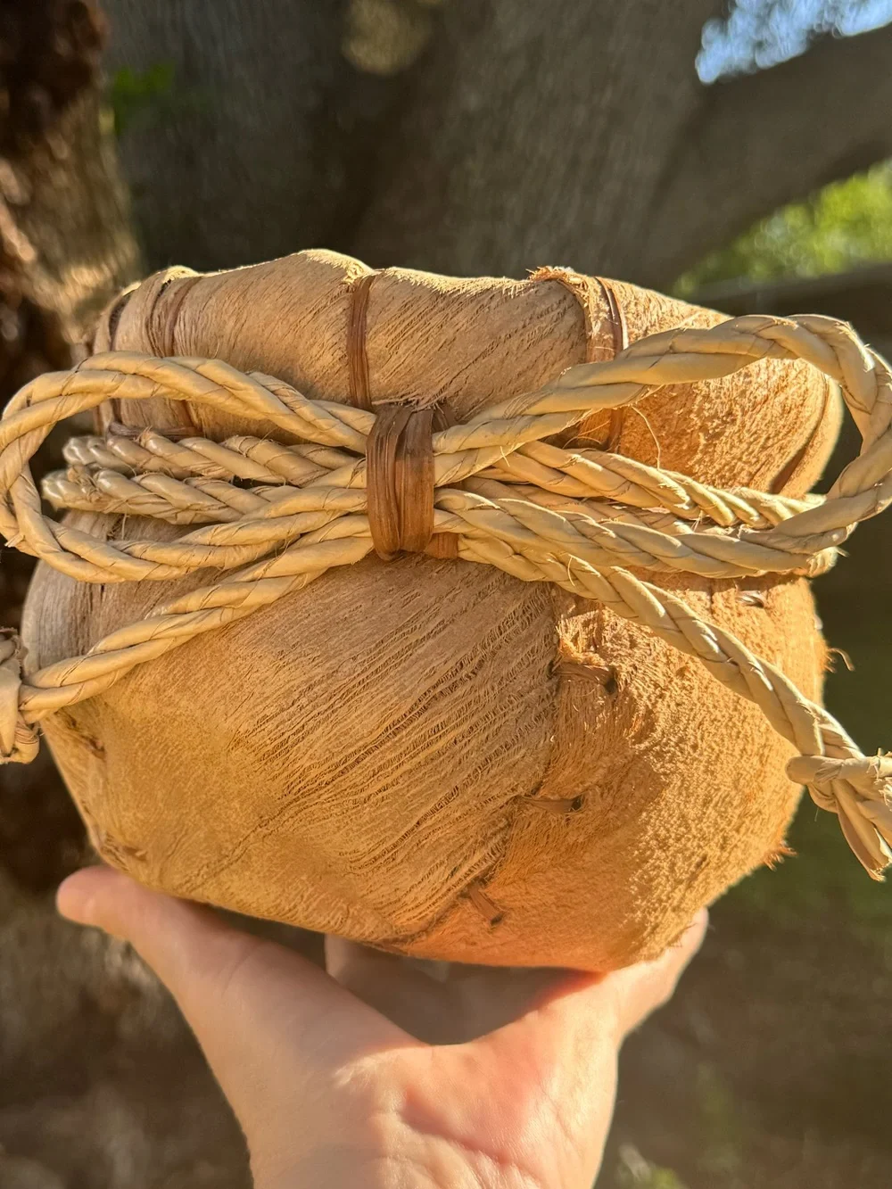 Vintage Rustic Primitive Handcrafted Natural Fiber Plant Basket - Tan
